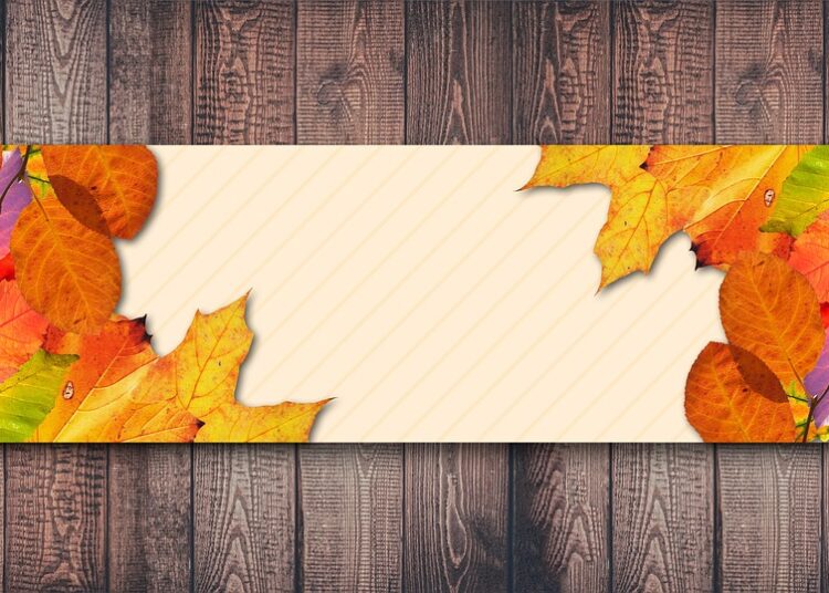 5 Key Differences Between Emergency Funds and Sinking Funds You Need to Know