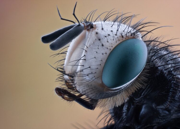 5 Key Differences Between Simple and Compound Interest You Need to Know 5 Key Differences Between Simple and Compound Interest You Need to Know