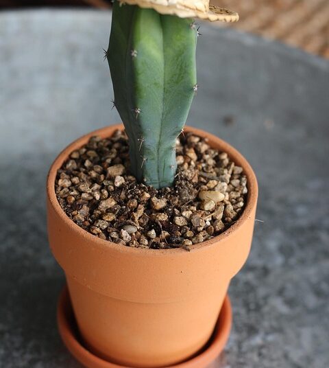 5 Key Facts You Need to Know About Credit Limit Increases and Your Credit Score 5 Key Facts You Need to Know About Credit Limit Increases and Your Credit Score