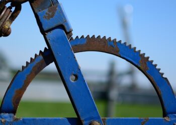 5 Key Indicators to Help You Determine Your Risk Tolerance Today