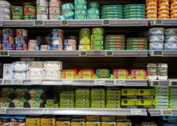 5 Key Strategies to Build a Profitable Dividend Portfolio for Lasting Passive Income