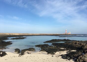 5 Simple Steps to Achieve the Ideal Credit Utilization Ratio You Need for Financial Success