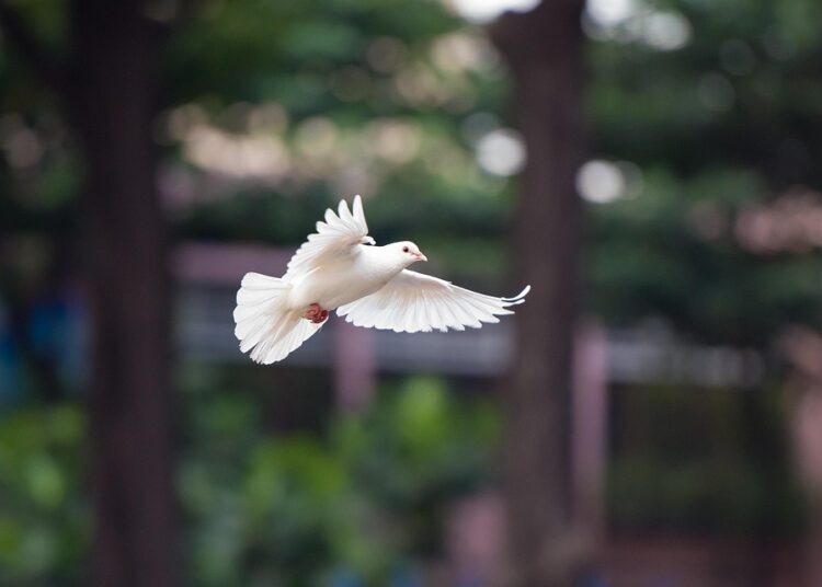 6 Essential Strategies for Targeting Your Mid-Term Financial Goals 6 Essential Strategies for Targeting Your Mid-Term Financial Goals