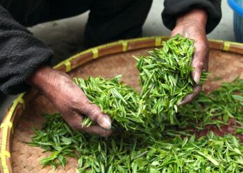 7 Benefits of Tax-Loss Harvesting That Every Investor Should Know