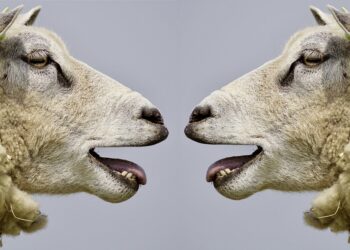 7 Common Credit Report Mistakes and How to Dispute Them Effectively