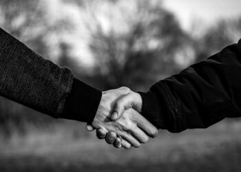 7 Proven Strategies to Achieve a Credit Score of 700+