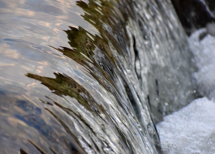 7 Types of Passive Income Streams You Can Start Today for Financial Freedom