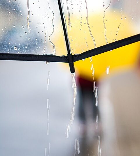 A comprehensive guide to understanding and creating your emergency savings.