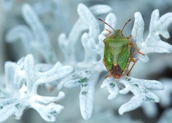 Are You Making These Common Investing Mistakes? Top Tips to Safeguard Your Portfolio