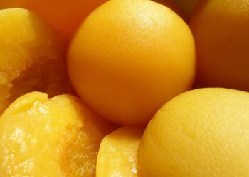 Can You Beat a Robo-Advisor? A Comprehensive Guide to Outperforming AI in Investing