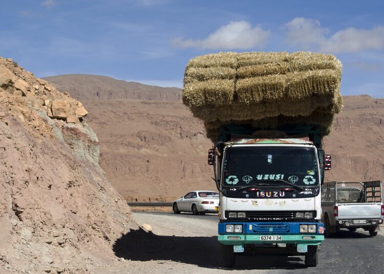 Drowning in Debt? Here’s What to Do When You Feel Overwhelmed Drowning in Debt? Here’s What to Do When You Feel Overwhelmed