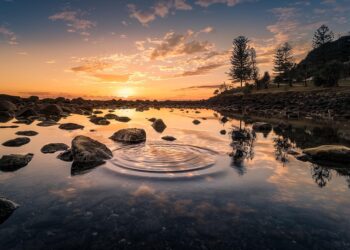 How to Avoid Bank Fees: A Comprehensive Guide for Savvy Savers