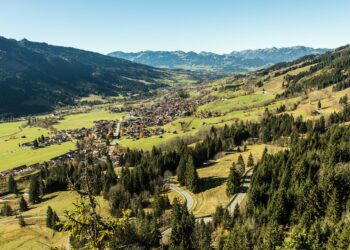 How to Build a Thriving Community for Passive Income: A Step-by-Step Guide