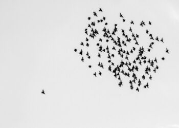 How to Create a Retirement Plan as a Self-Employed Individual: A Step-by-Step Guide