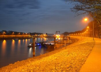 How to Develop a Winning Long-Term Investment Plan: A Step-by-Step Guide