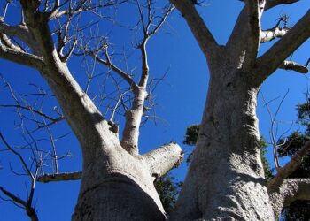 How to Find Unique Side Hustle Ideas That Fit Your Passion and Skills