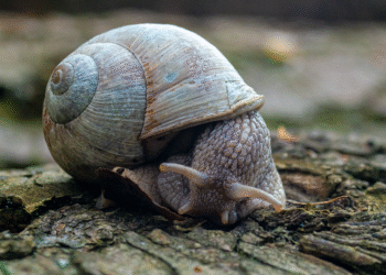 How to Get Started in the Stock Market Today: A Step-by-Step Guide for Beginners