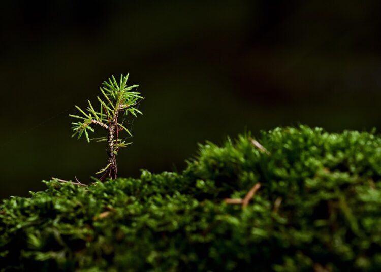 How to Grow Your Money: A Step-by-Step Guide for Beginners