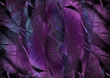 How to Know When It’s Time to Form an LLC for Your Side Hustle