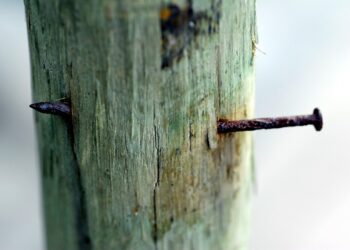 How to Master Frugal Living: 7 Simple Tips for Budget-Savvy Individuals