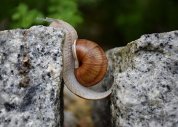 How to Overcome a Scarcity Mindset: A Comprehensive Guide for Personal Growth