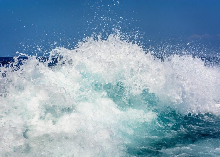 How to Prepare for a Stock Market Crash: Essential Tips for Investors