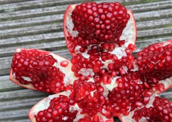 How to Reduce Monthly Expenses: A Step-by-Step Guide for Budget-Conscious Families