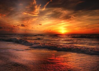 How to Set Financial Goals: A Step-by-Step Guide for Financial Success