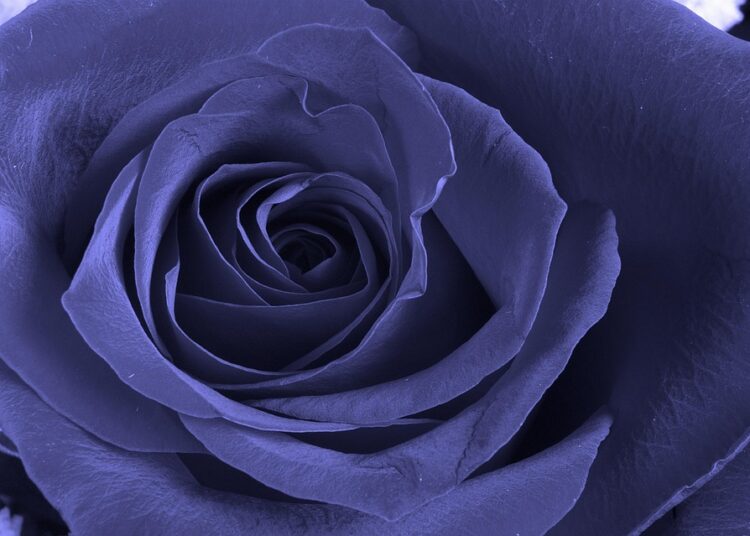 How to Set Financial Goals for Every Life Stage: A Complete Guide How to Set Financial Goals for Every Life Stage: A Complete Guide