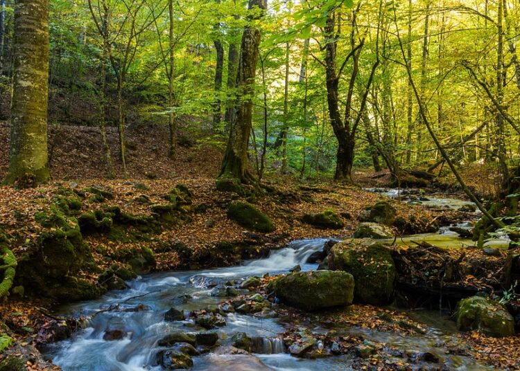 How to Set and Achieve Your Long Term Financial Goals: A Step-by-Step Guide How to Set and Achieve Your Long Term Financial Goals: A Step-by-Step Guide