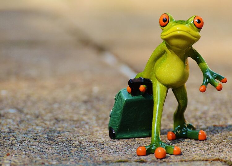 How to Slash Your Utility Bills: A Step-by-Step Guide to Savings