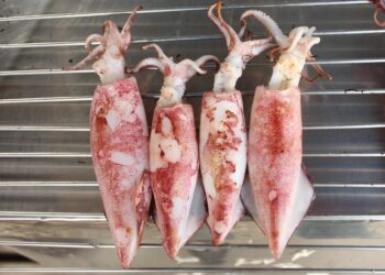 How to Use a Side Hustle to Eliminate Debt: A Step-by-Step Guide