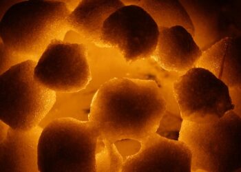 (Long-tail SEO: step-by-step guide debt snowball method beginners)