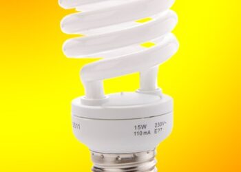 (Long-tail keyword: beginner’s guide to round-up savings apps)