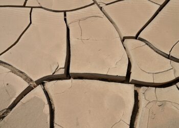 Scarcity Mindset vs Abundance Mindset: How to Shift Your Thinking for Greater Success