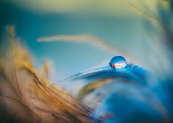 The 4% Rule: 5 Key Reasons It Might No Longer Be Your Best Bet