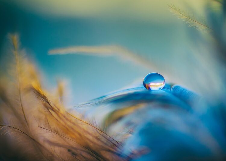 The 4% Rule: 5 Key Reasons It Might No Longer Be Your Best Bet