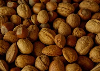 The Top 5 Reasons Why Credit Mix Matters: Enhance Your Credit Score Today