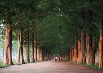 The Top 7 Crucial Pieces of Information on Your Credit Report