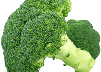 The Ultimate Guide on How to Cut Spending Without Sacrificing Your Lifestyle