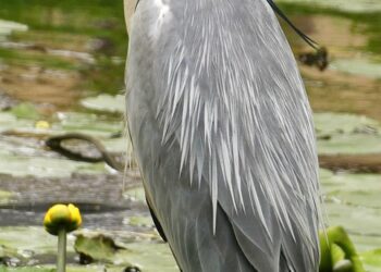 The Ultimate Guide to Side Hustles for Beginners: Your First Steps to Financial Freedom