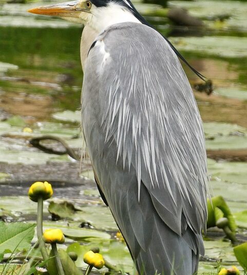 The Ultimate Guide to Side Hustles for Beginners: Your First Steps to Financial Freedom The Ultimate Guide to Side Hustles for Beginners: Your First Steps to Financial Freedom
