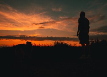 The Ultimate List: 10 Essential Factors When Selecting a Robo-Advisor