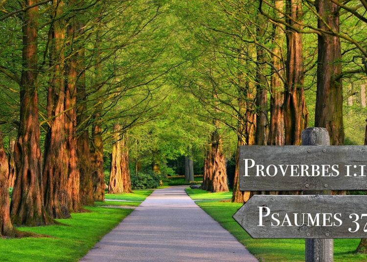 The Ultimate List: 7 Key Components of a Stock Quote Explained The Ultimate List: 7 Key Components of a Stock Quote Explained