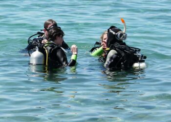 Top 10 Checking Accounts with No Fees: Save Money While You Bank!