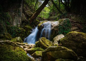 Top 10 Proven Ways to Create Multiple Income Streams and Boost Your Wealth