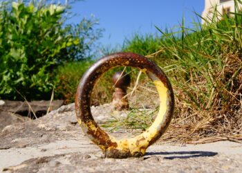 Top 5 Reasons Why Betterment Might Be the Best Choice for Your Financial Future