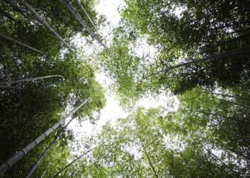 Top 5 Reasons to Choose ETFs Over Index Funds for Your Investment Portfolio