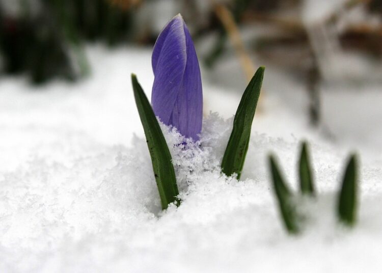 Top 5 Reasons to Consider Robo-Advisors: What Are the Returns?