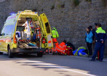 Top 7 Reasons Every Pet Owner Needs an Emergency Fund for Their Furry Friends